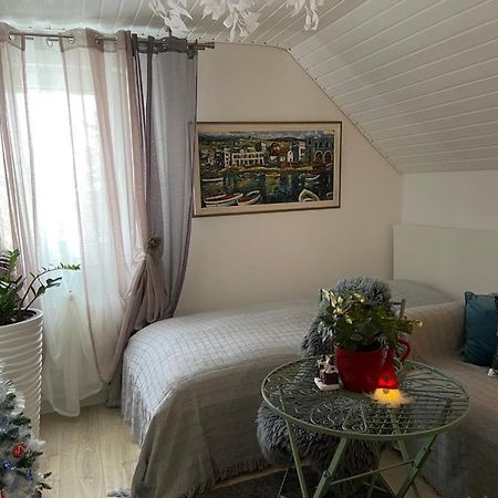 Ferienwohnung Pension Am Berg 菲林根-施文宁根 外观 照片